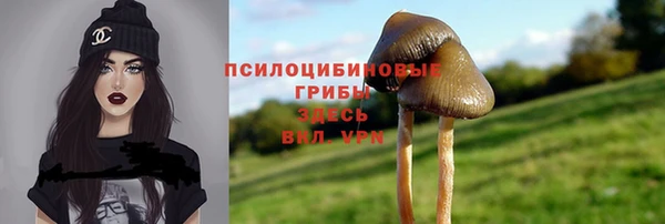 спиды Вязники