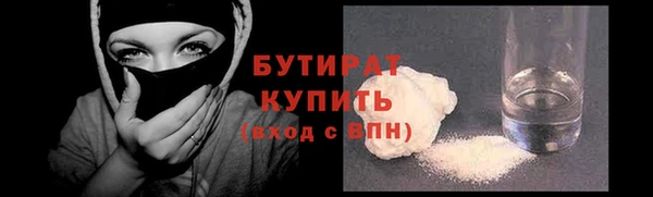 индика Сосновоборск