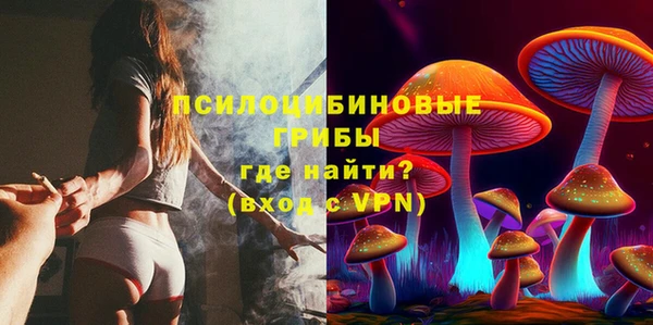 мет Гусиноозёрск