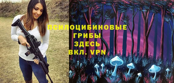 соль курить ск Гусь-Хрустальный