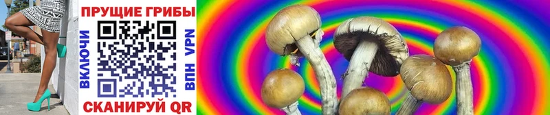 Псилоцибиновые грибы Magic Shrooms  что такое наркотик  Дагестанские Огни 
